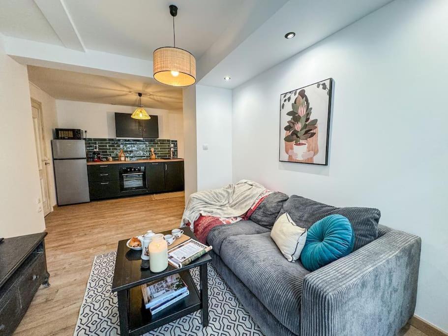 Elegance Au Coeur De Tarbes Apartment Екстериор снимка